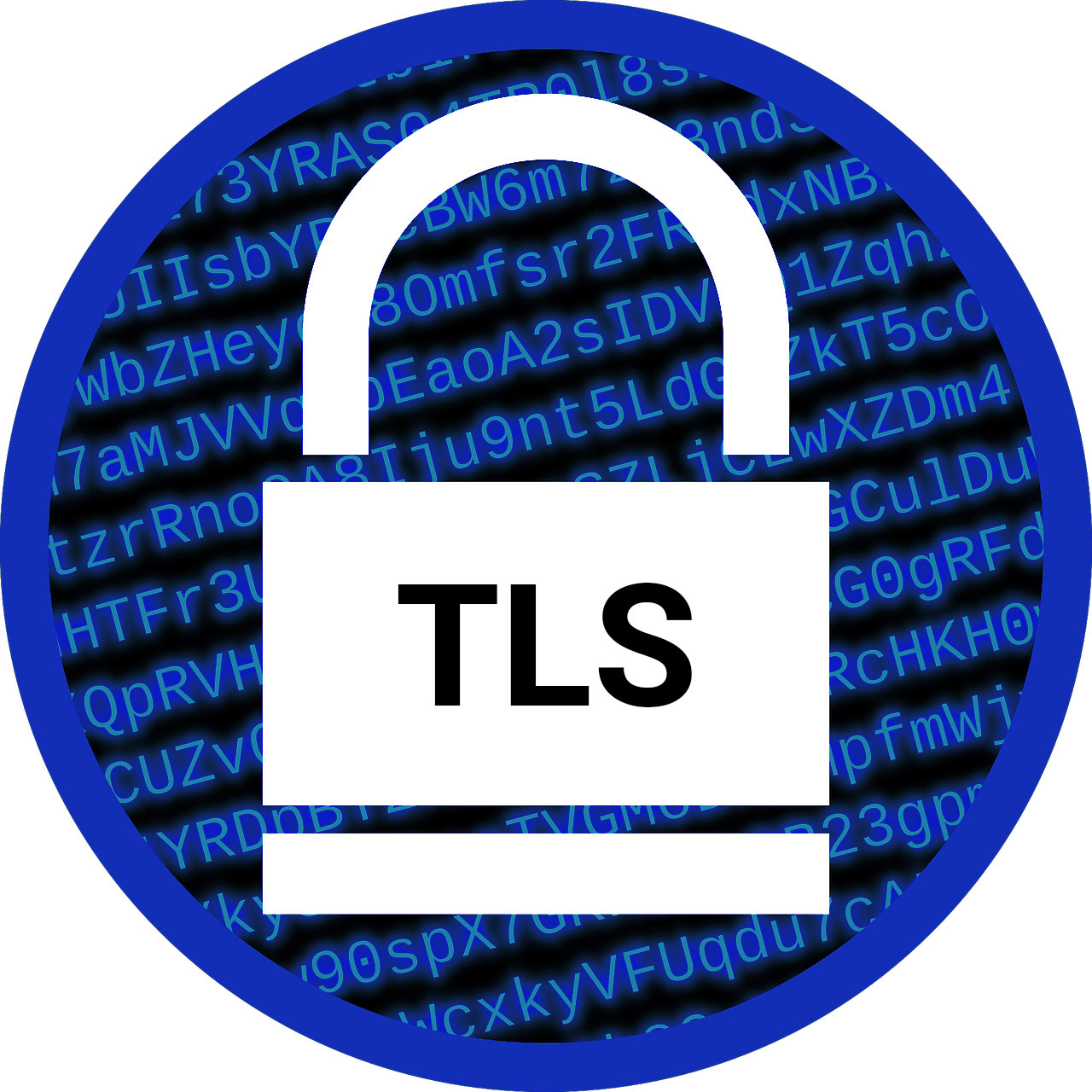 Was Transport Layer Security (TLS) ist und wie man es richtig benutzt. 